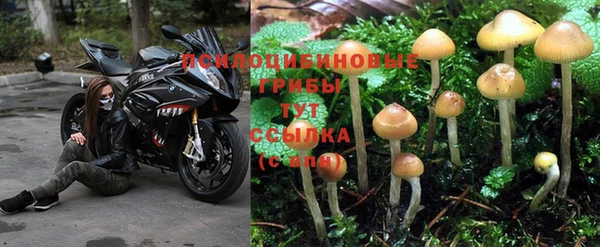 наркотики Заволжье