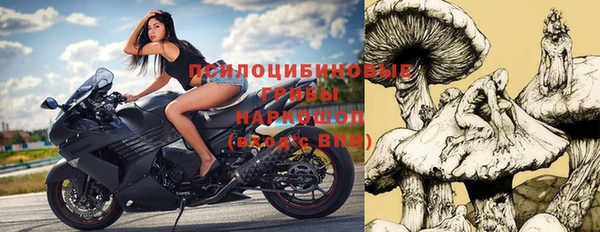 гашик Заволжск