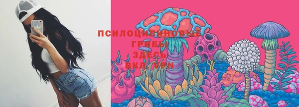гашик Заволжск