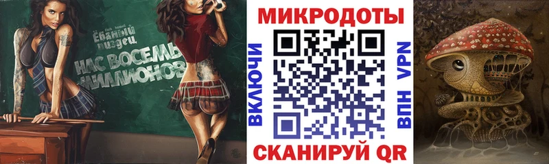 Галлюциногенные грибы Cubensis  Купить где  Сланцы 