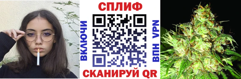 Купить где  Сланцы  Конопля SATIVA & INDICA 